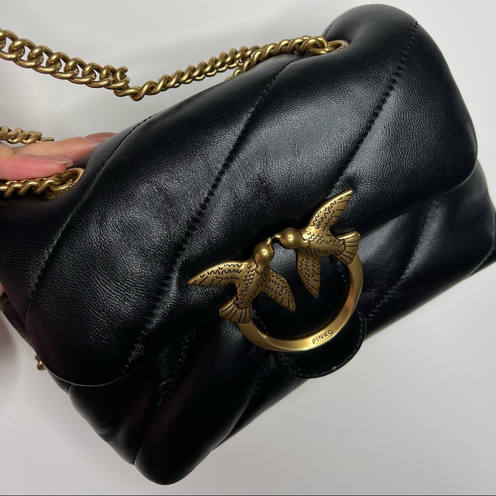 Pinko brand, leather, crossbag
